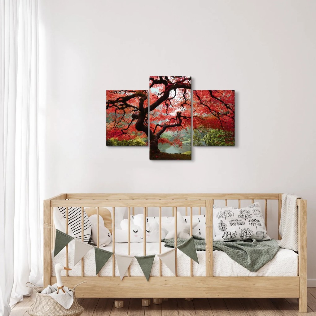 Red Japanese Maple, Portland, Oregon képe (90x60 cm)