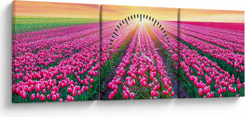 Tulipán mező és a nap képe (órával) (90x30 cm)