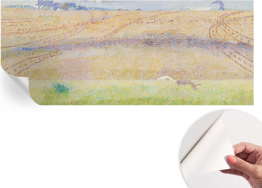 Dekoratív öntapadós fotótapéta Hálószobába Nyári mező 250x104 cm