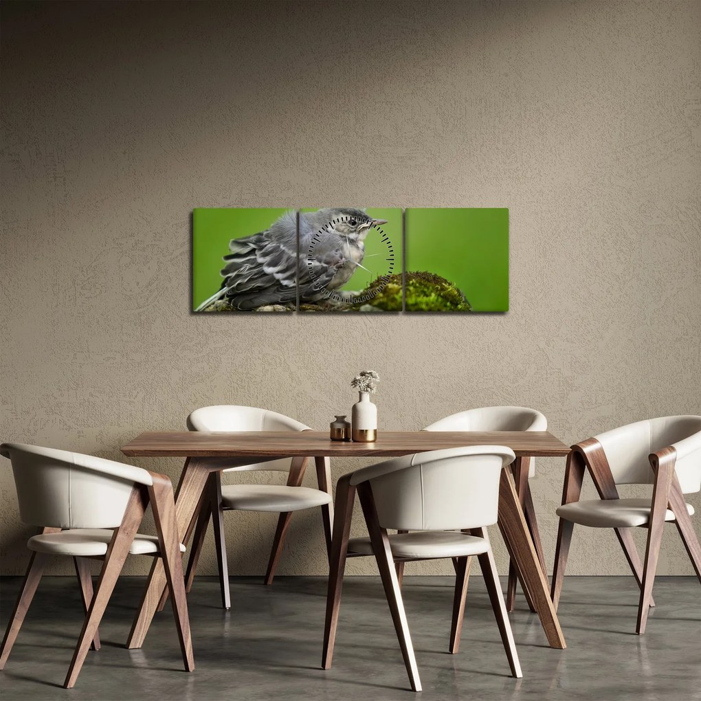 Kép - Légykapó (órával) (90x30 cm)