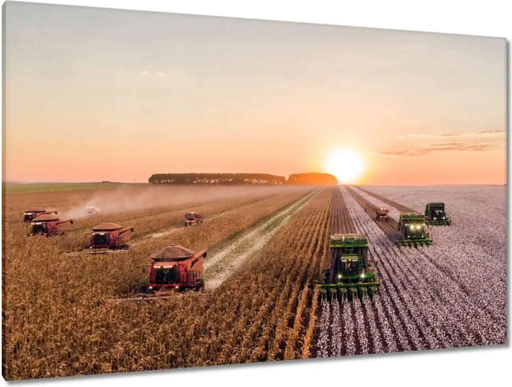 Festmények 120x80 Aratás Mezőgazdaság Kombájn