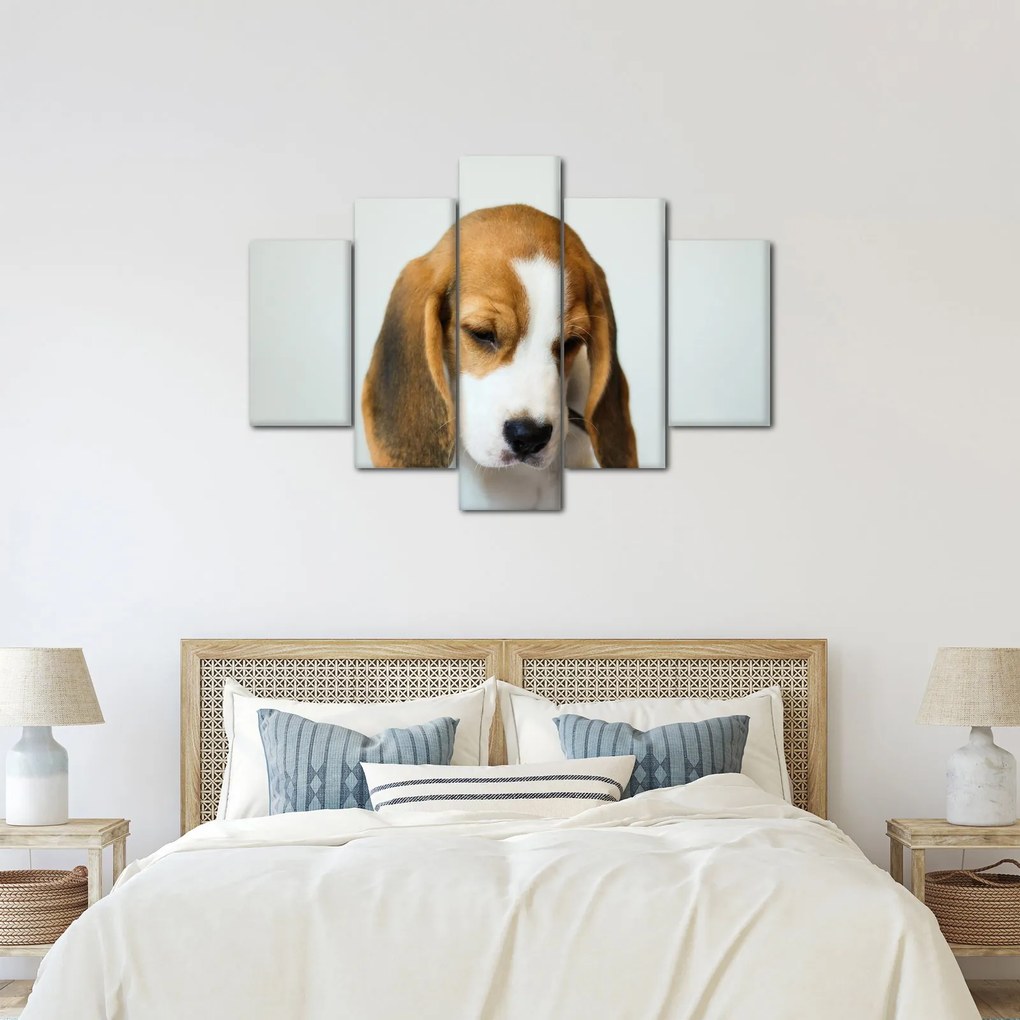 Beagle képe (150x105 cm)