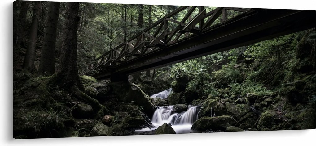 Fekete erdő képe (120x50 cm)