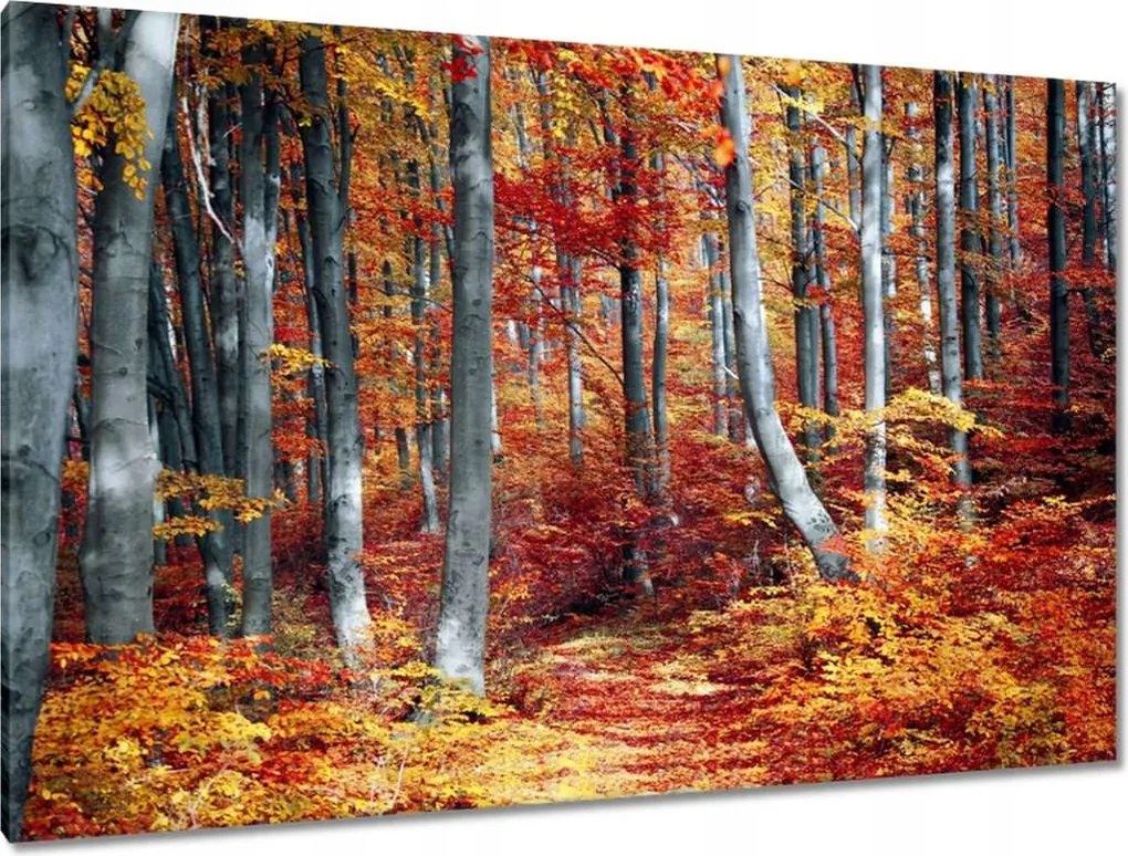 Festmények 120x80 Tájkép