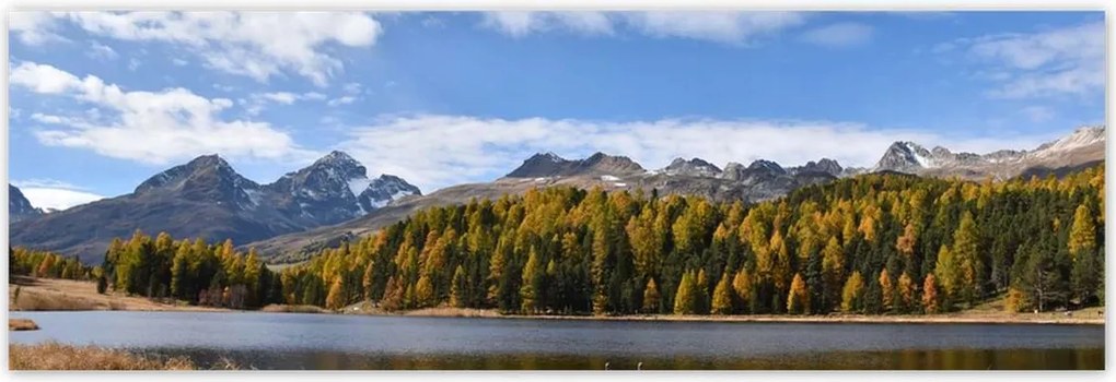 Poszterek 200x66 Tájkép Fa híd