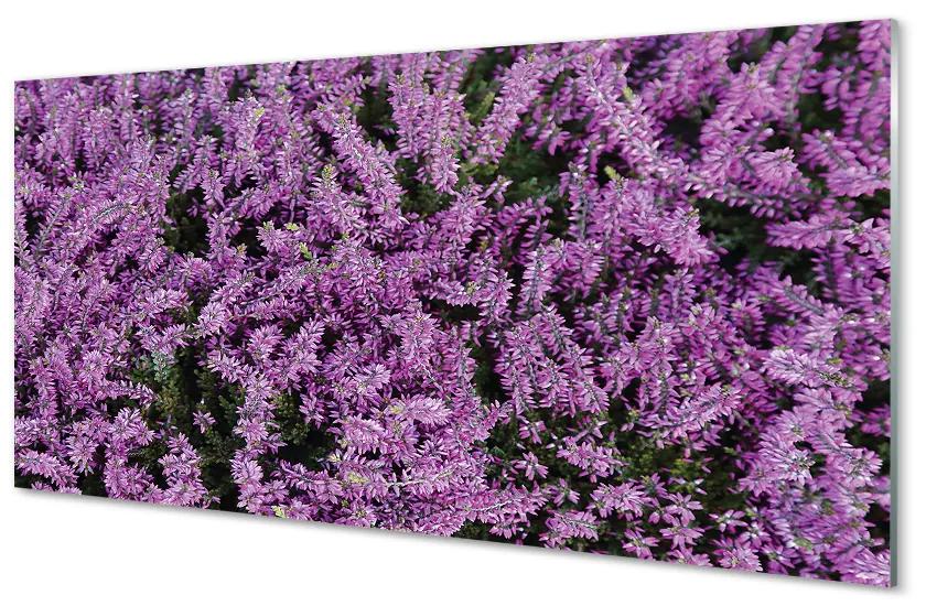 Akrilképek lila virágok 120x60 cm