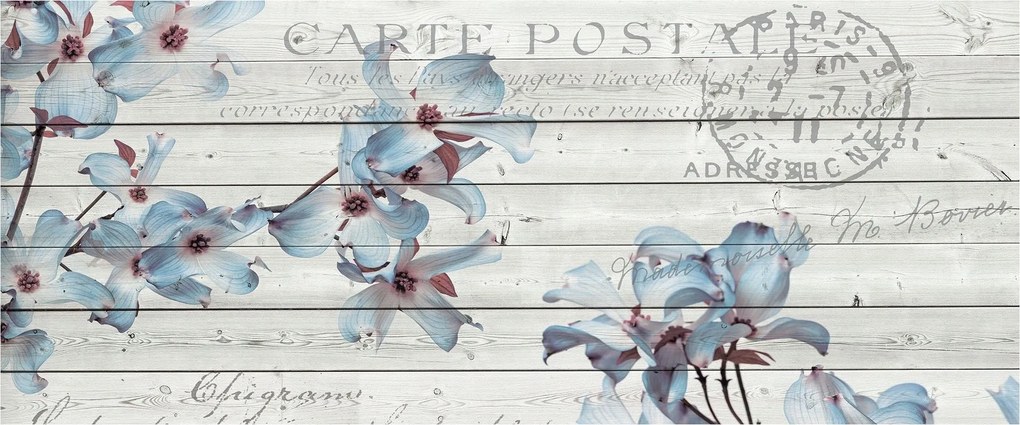 Flizelin fotótapéta Szarvas a deszkákon Vintage Pasztell 250x104 +ragasztó