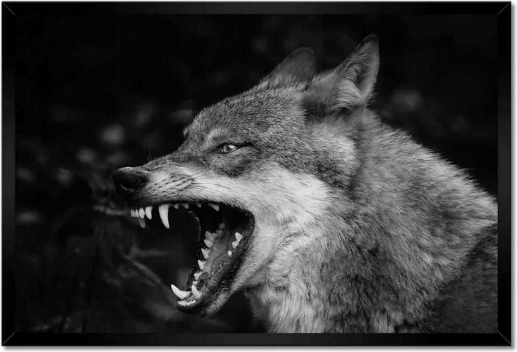 Poszterek keretben 60x40 Természet Emberség