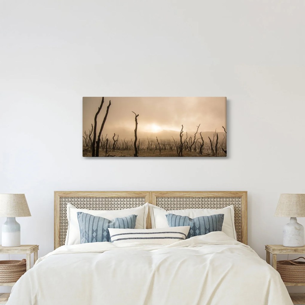 Kép - Csupasz fák (120x50 cm)