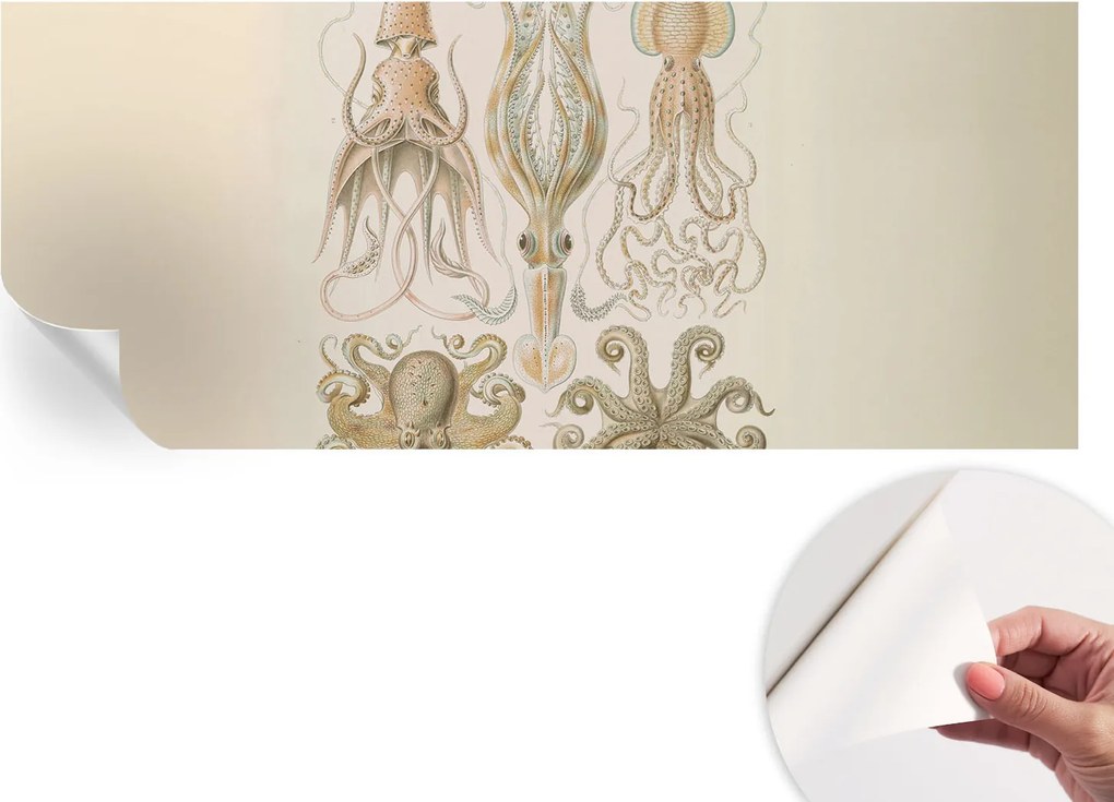 Öntapadós fotótapéta Nappaliba és Hálószobába Tengeri élet 250x104