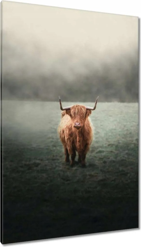 Vászonkép 80x120 Mint a szarvak Hegyi rét