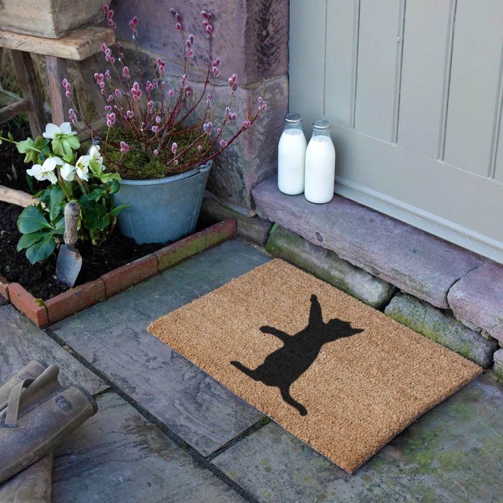 Kókuszrost lábtörlő 40x60 cm Cat – Artsy Doormats