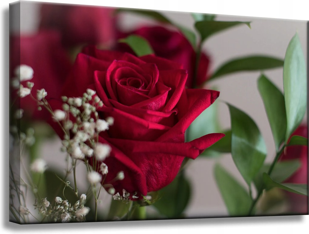 Botanika Vászonkép Vörös rózsák 60x40 cm