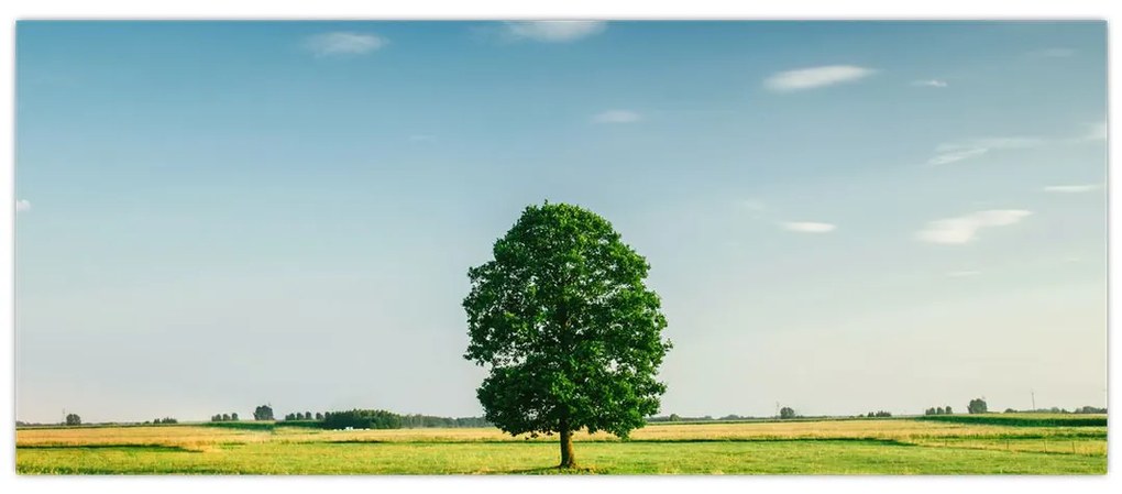 Fa képe a réten (120x50 cm)