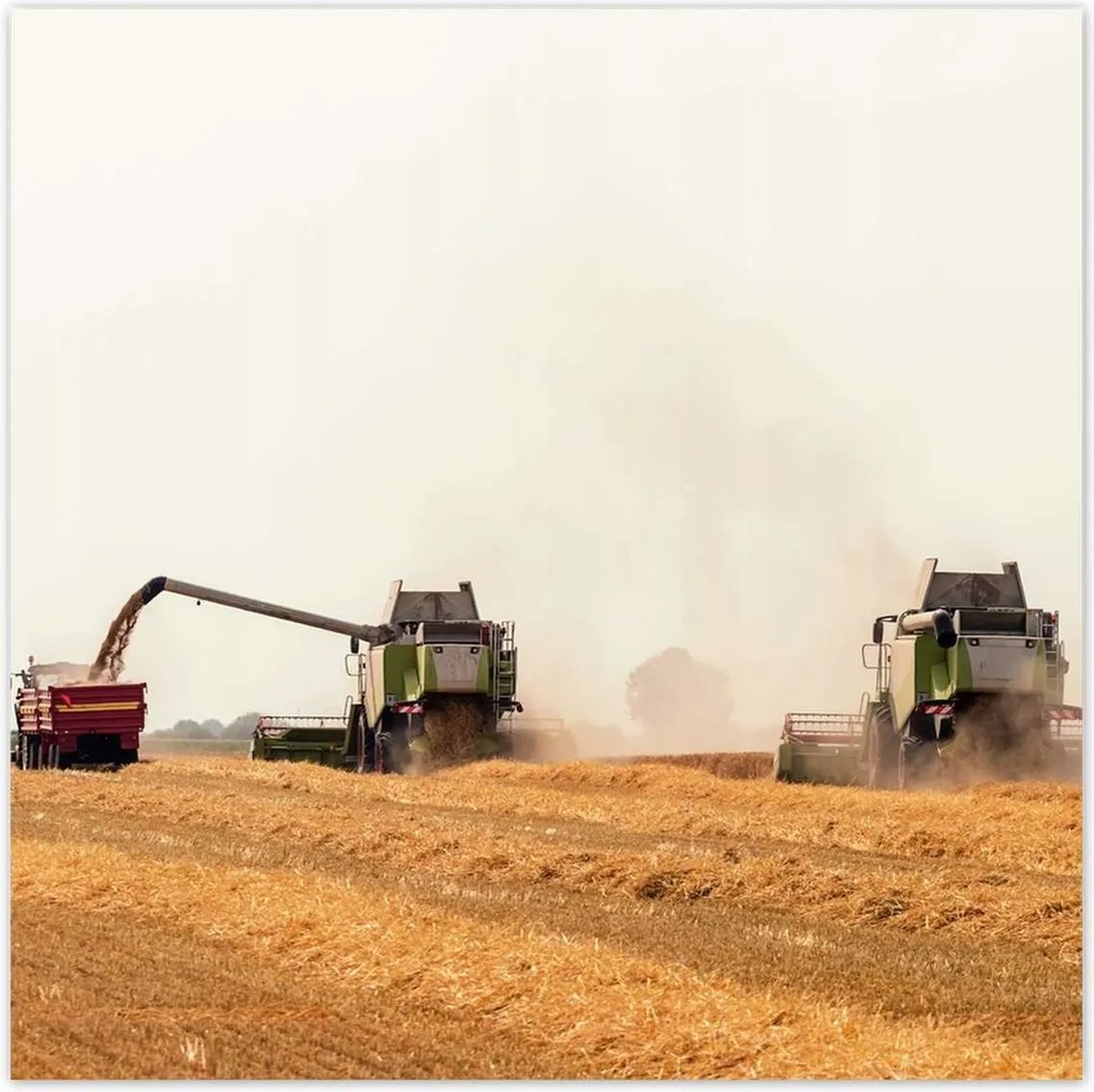 Poszterek 100x100 Gabonabetakarító kombájn