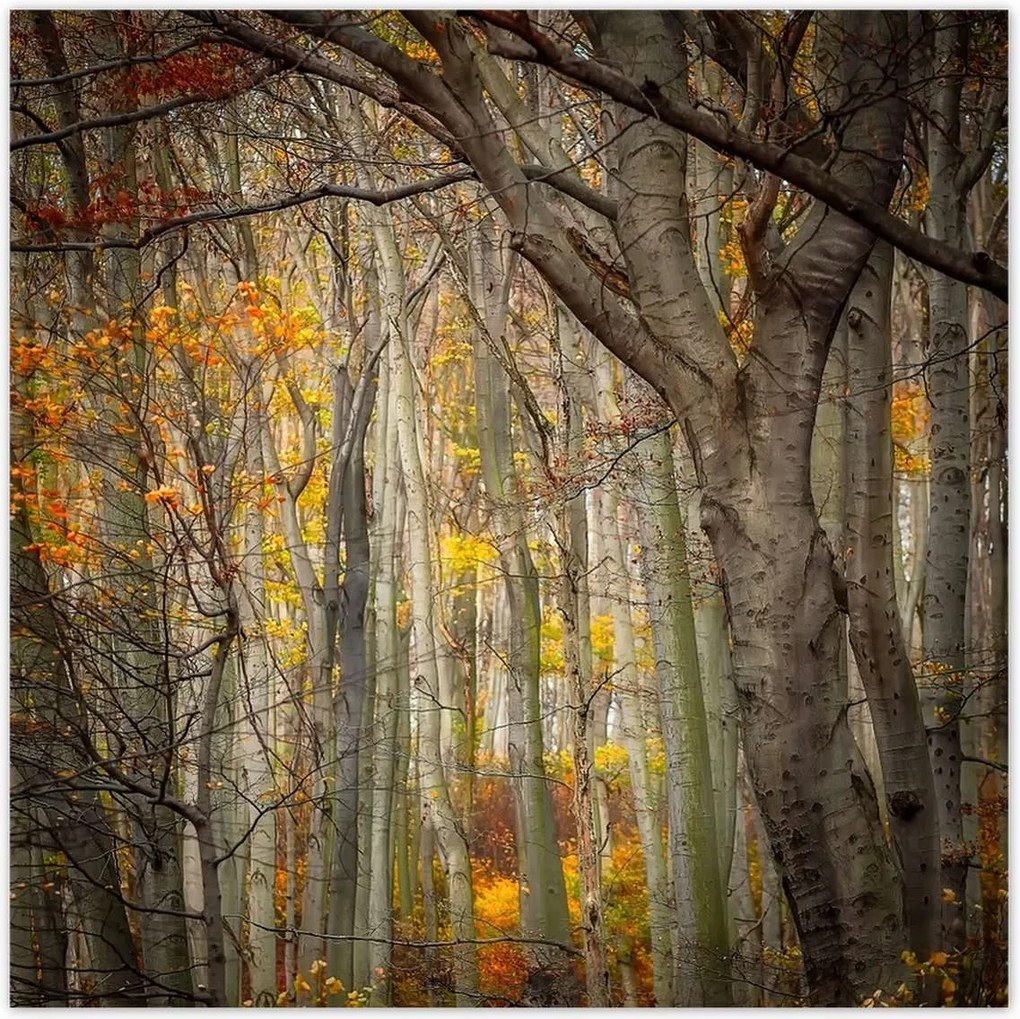 Poszterek 140x140 Tájkép Látvány