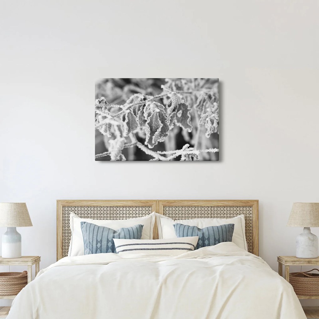 Kép - Fagyott levelek, fekete-fehér (90x60 cm)