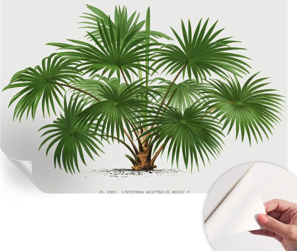 Öntapadós fali fotótapéta Hálószobába Egzotikus minta 104x70 cm