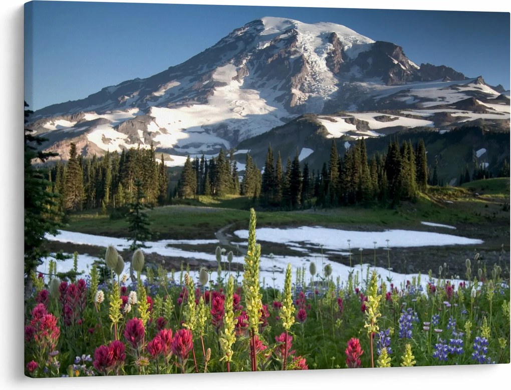 Kép - Mount Rainier (70x50 cm)