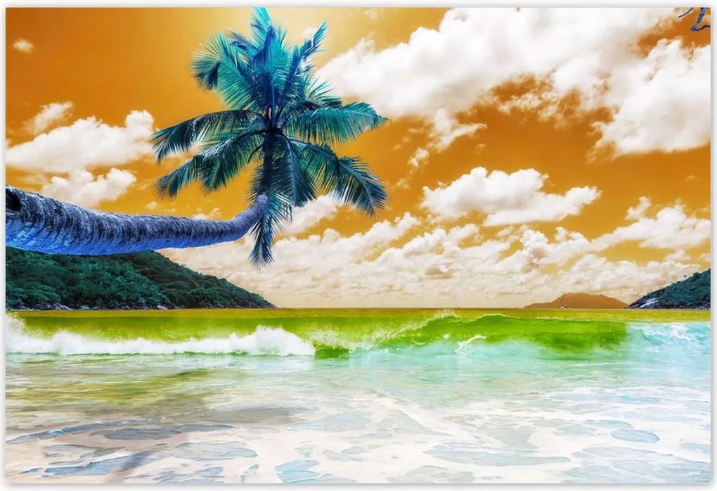 Poszterek 185x125 Trópusok Tájkép Pálma