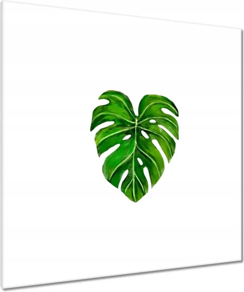 Vászonkép 90x90 Lyukas monsera levél