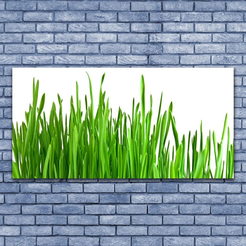 Vászonkép falra Grass Nature Plant 120x60 cm