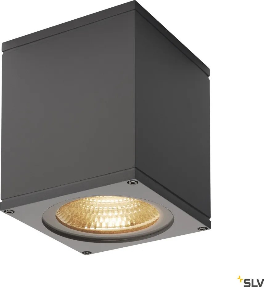 SLV 234525 THEO Modern Kültéri Fali Lámpa Antracit LED IP44