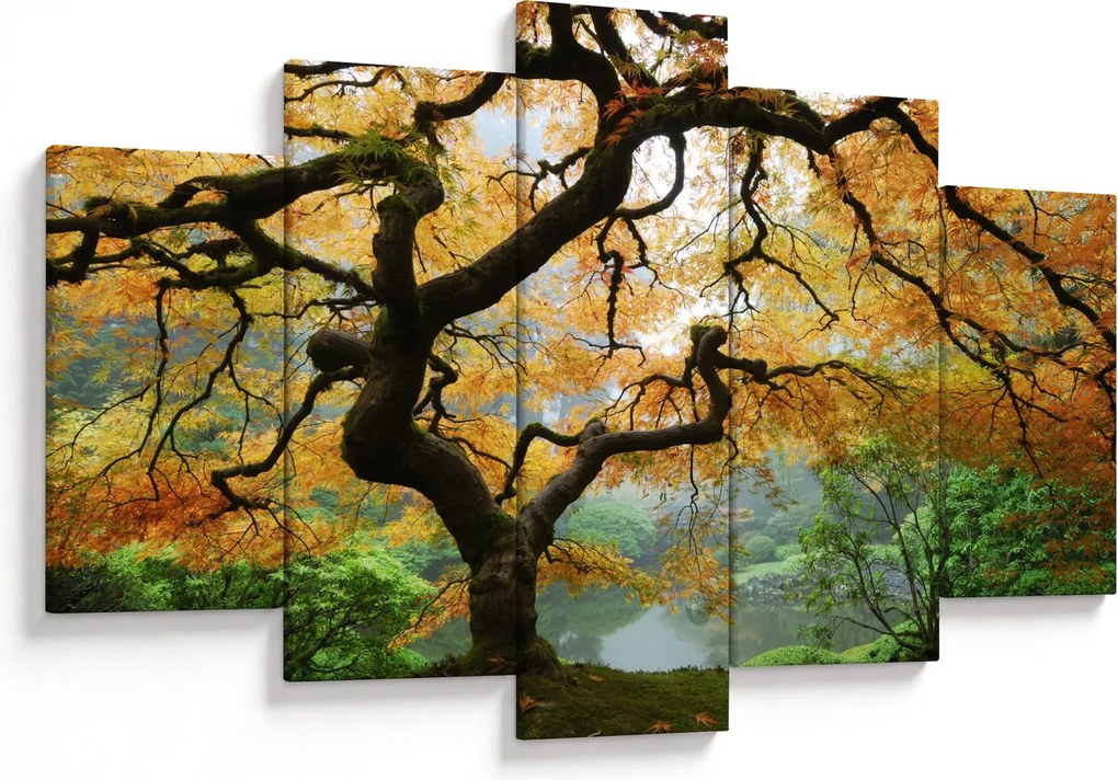 Egy sárga japán juhar képe, Portland, Oregon (150x105 cm)
