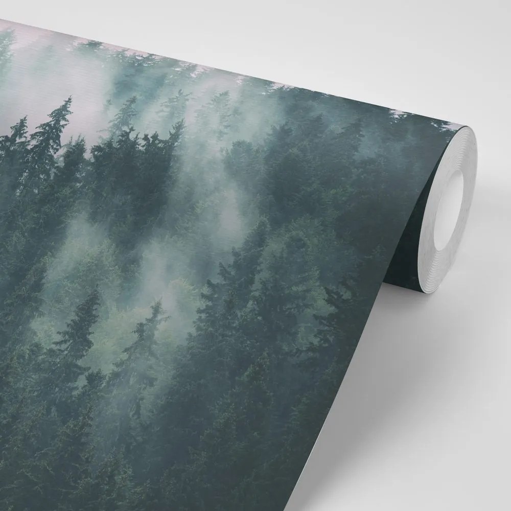 Fototapeta erdő ködben
