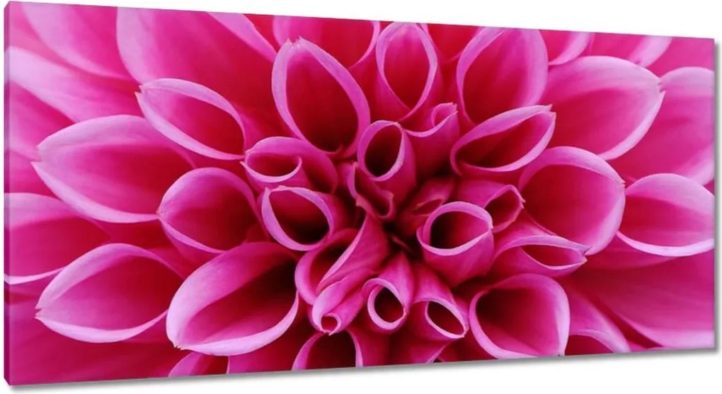 Festmények 115x55 Liliom