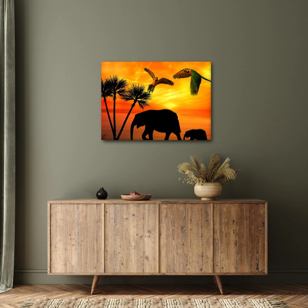 Kép - papagájok és elefántok (70x50 cm)