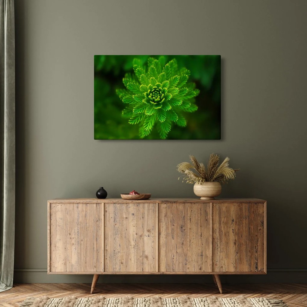 Tűlevelű képé (90x60 cm)
