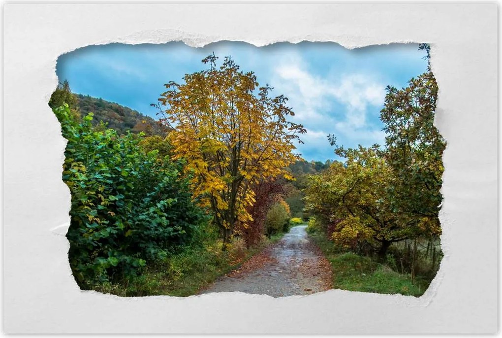 Poszterek 120x80 Őszi fák