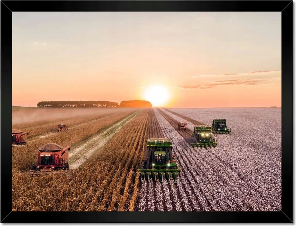 Poszterek keretben 40x30 Aratás Mezőgazdaság Kombájn