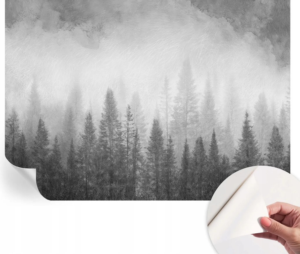 Öntapadós Dekoratív Fotótapéta Hálószobába Erdei köd 208x146 cm