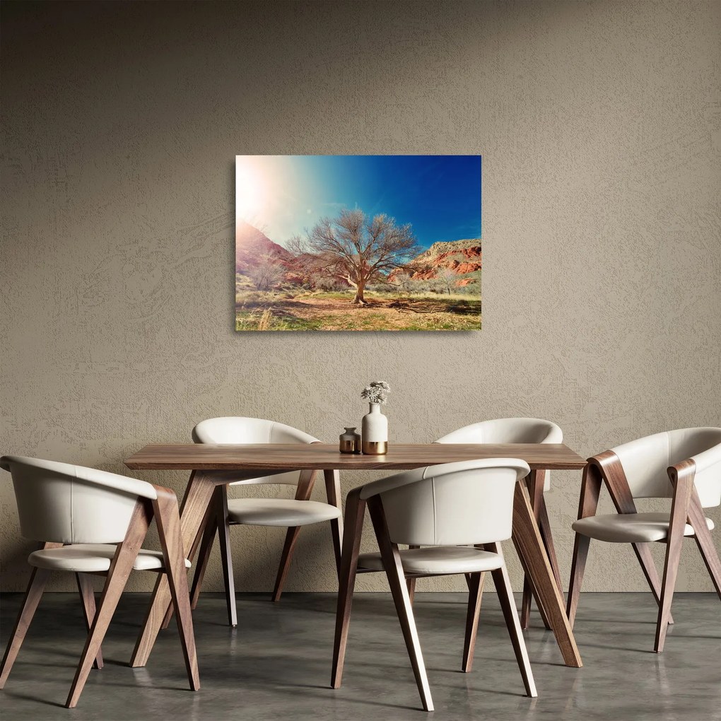 Fa a sivatagban képe (üvegen) (70x50 cm)