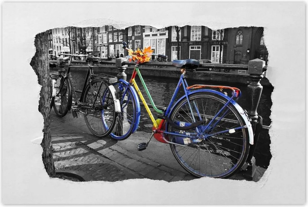 Poszterek 90x60 Őszi levelek