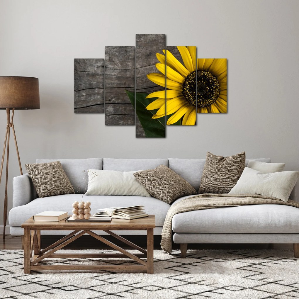 Kép - Napraforgó virága (150x105 cm)