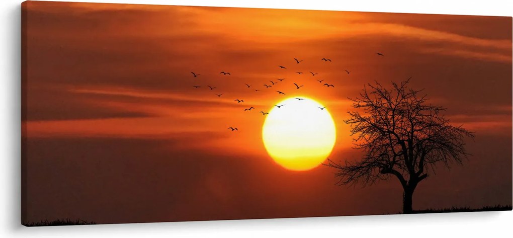 Kép - Naplemente (120x50 cm)