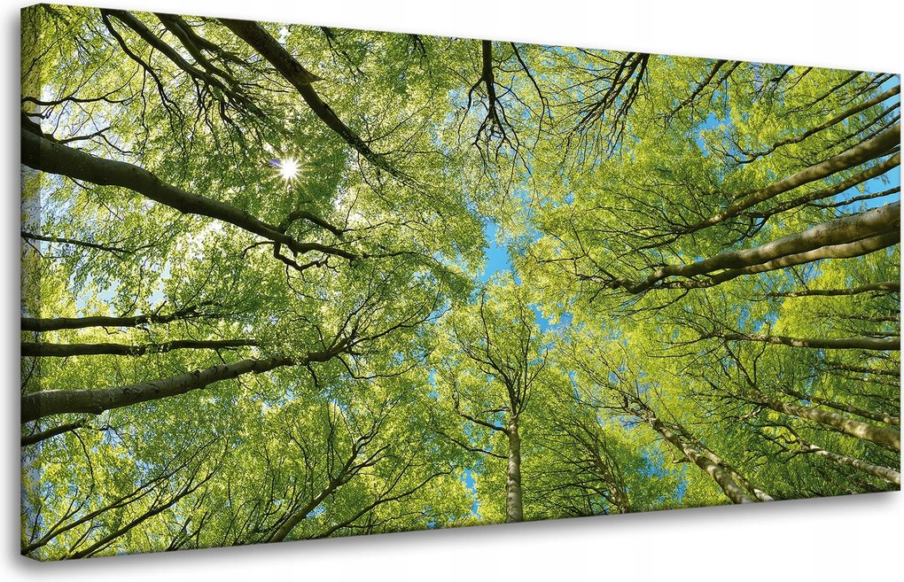 Vászonkép Levelek Fák Zöld Nap Ég 80x40 cm