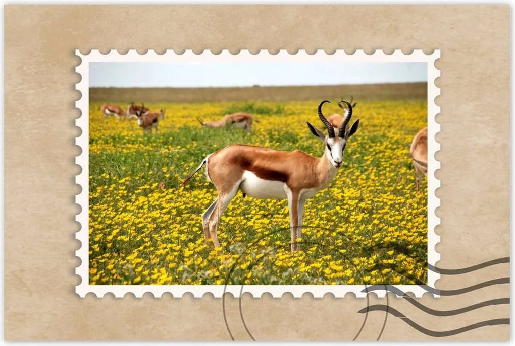 Poszterek 90x60 Antilop a virágok között