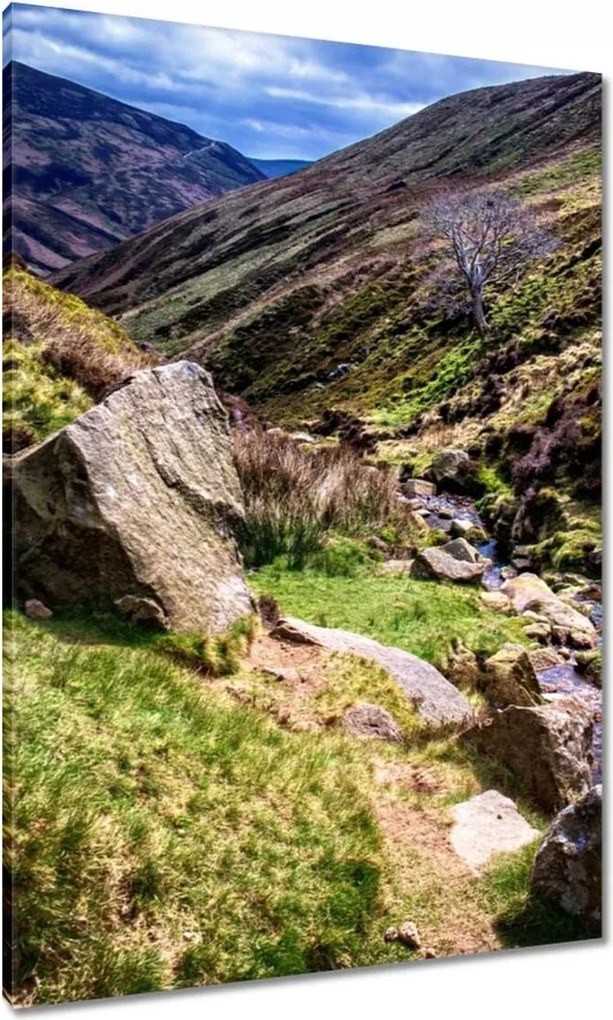 Vászonkép 70x100 Hegyi patak