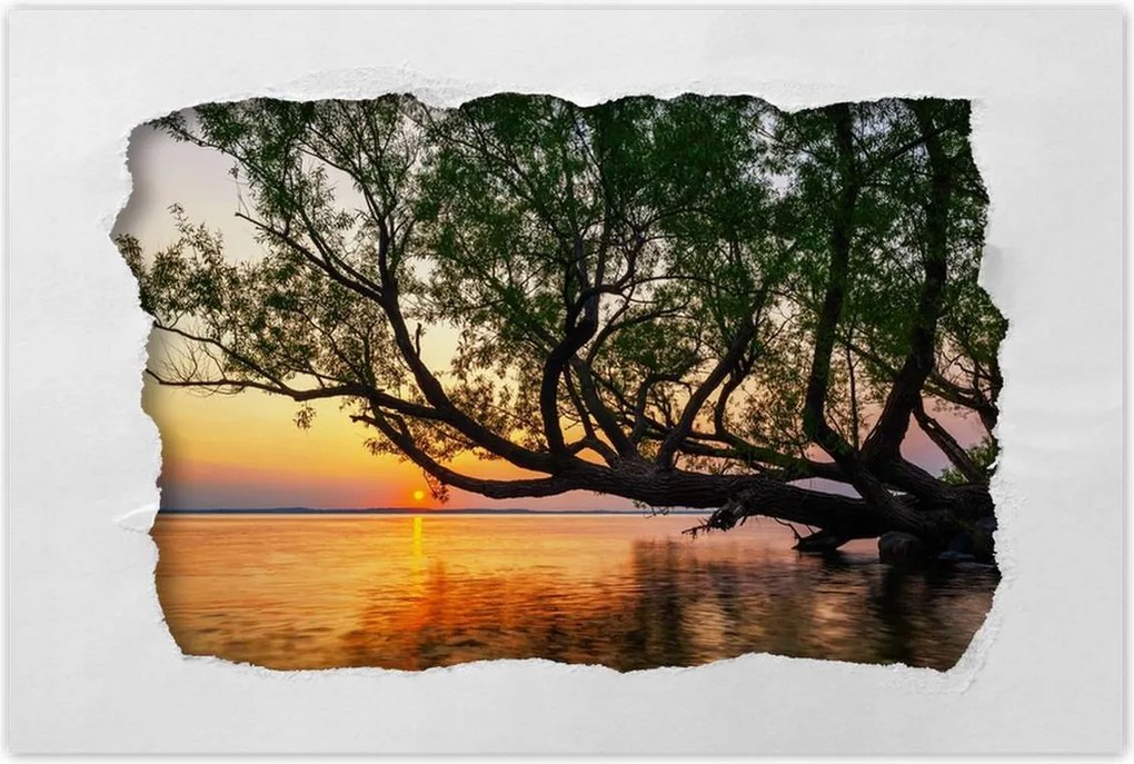 Poszterek 120x80 Fa Levelek Tó