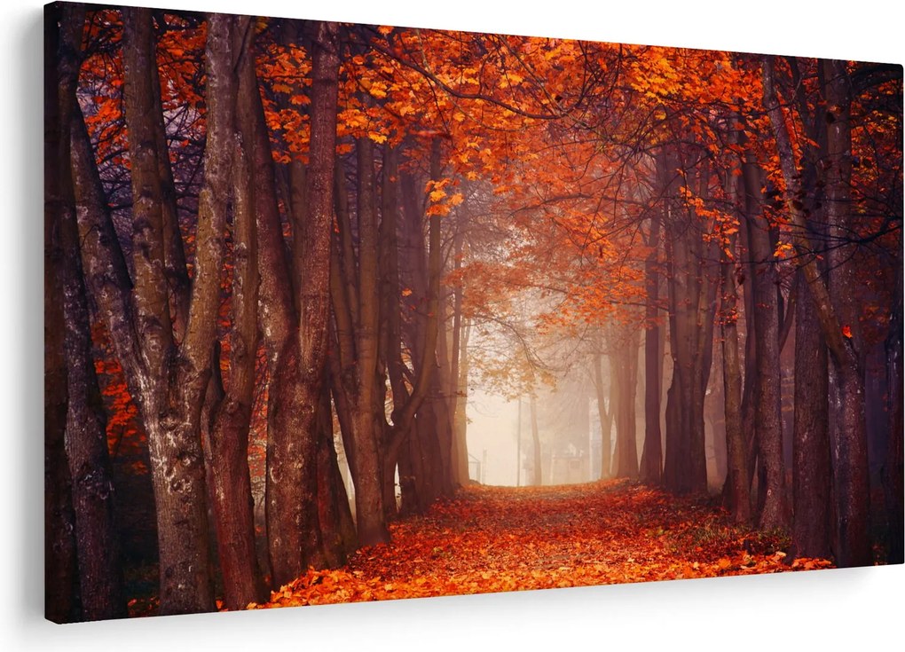 Kép - őszi erdő (90x60 cm)
