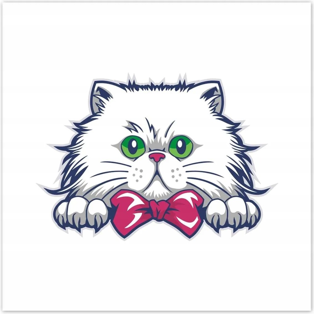 Poszterek 70x70 Cica Cicák