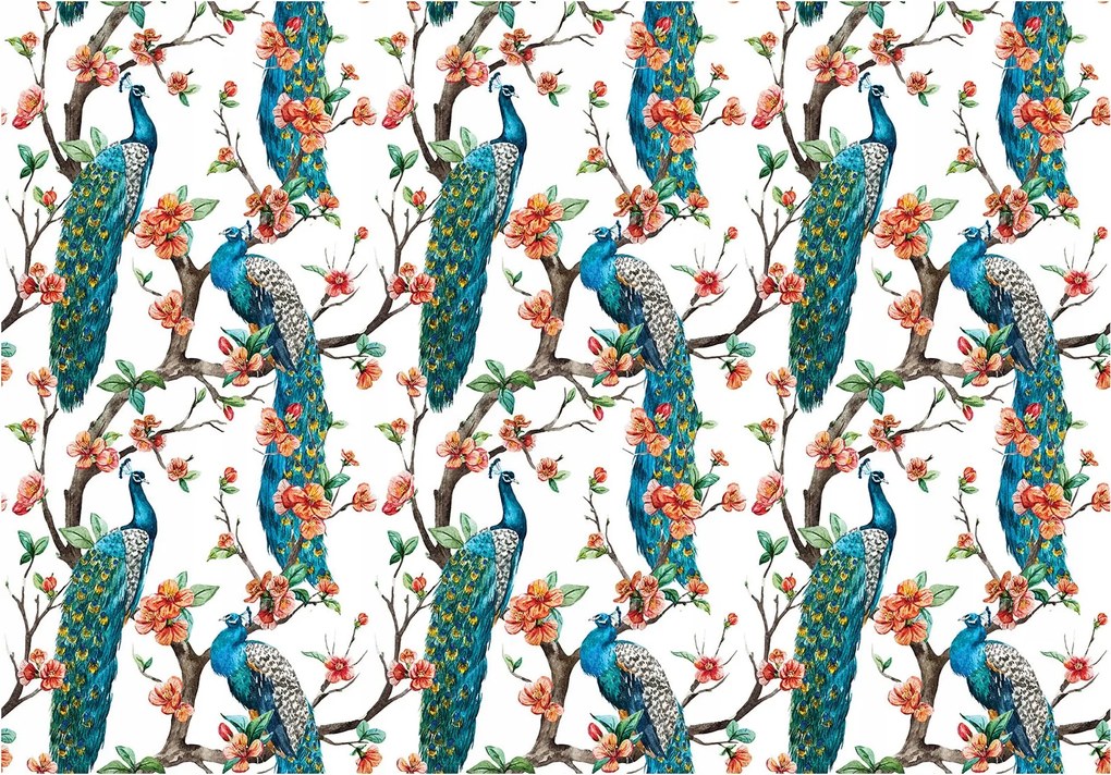 Fotótapéta Páva a virágzó kertben tavasszal Elegancia 200x140 +ragasztó