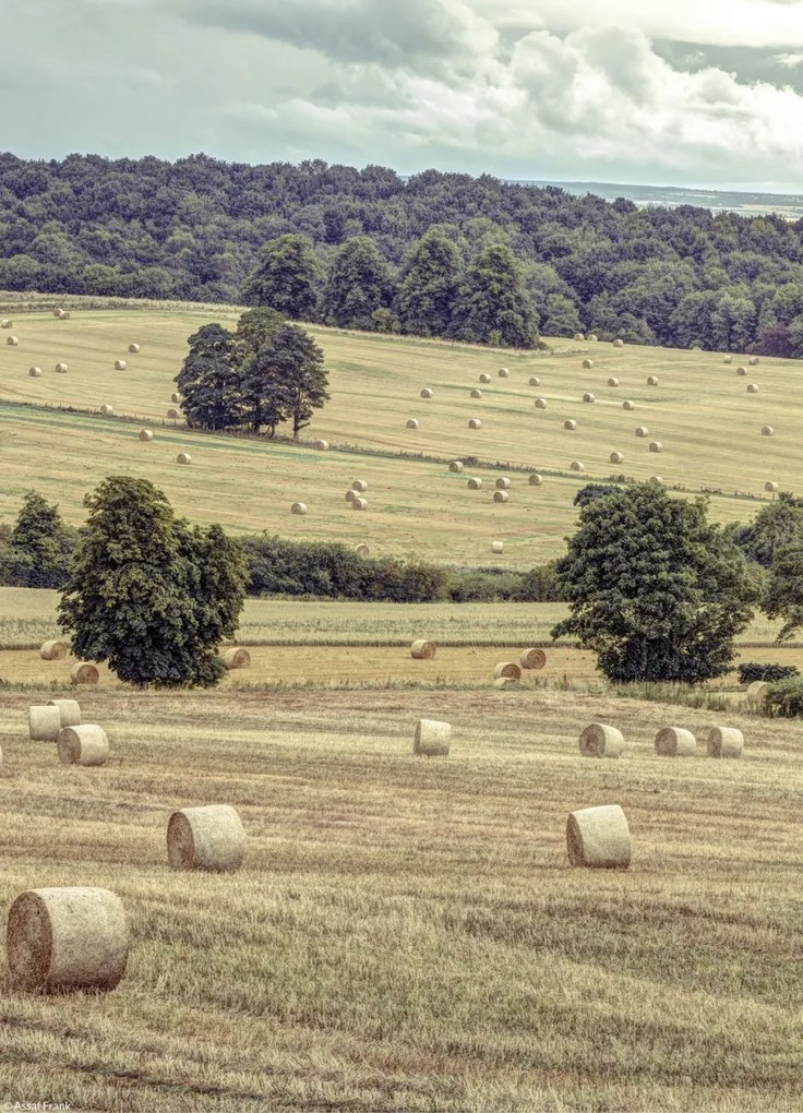 Poszter 20,5x28,4cm Szénakazalok a mezőkön 2, Assaf Frank