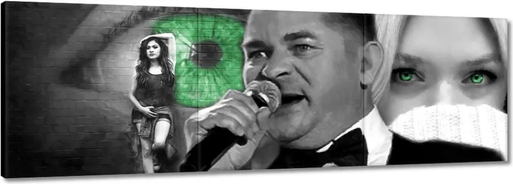 Vászonkép 150x50 Zöld szemek Zenek