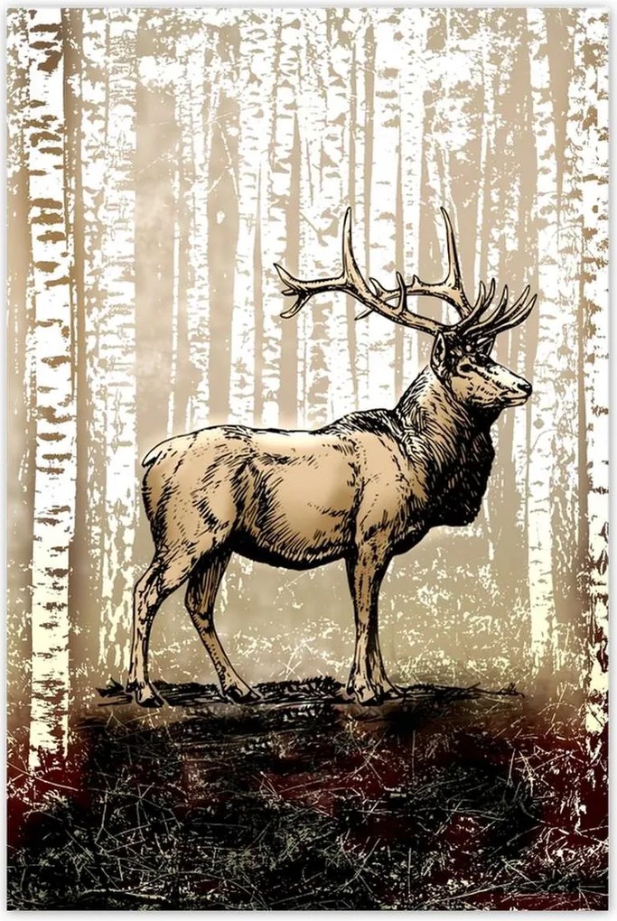 Poszter 60x90 Szarvas Nyírfa Erdő