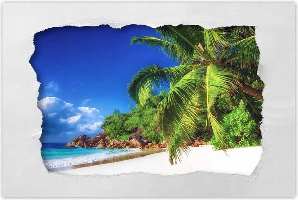 Poszterek 120x80 Trópusok Tájkép Pálmafák